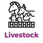 Livestock 01 150x150